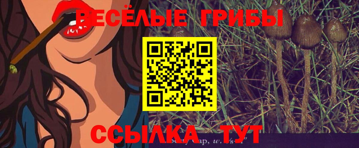 Надым  Галлюциногенные грибы ЛСД  Галлюциногенные грибы Cubensis  Вход с VPN 